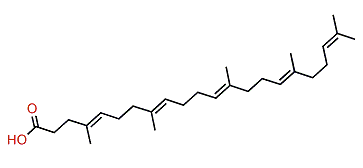 (E,E,E,E)-4,8,13,17,21-Pentamethyldocosa-4,8,12,16,20-pentaenoic acid